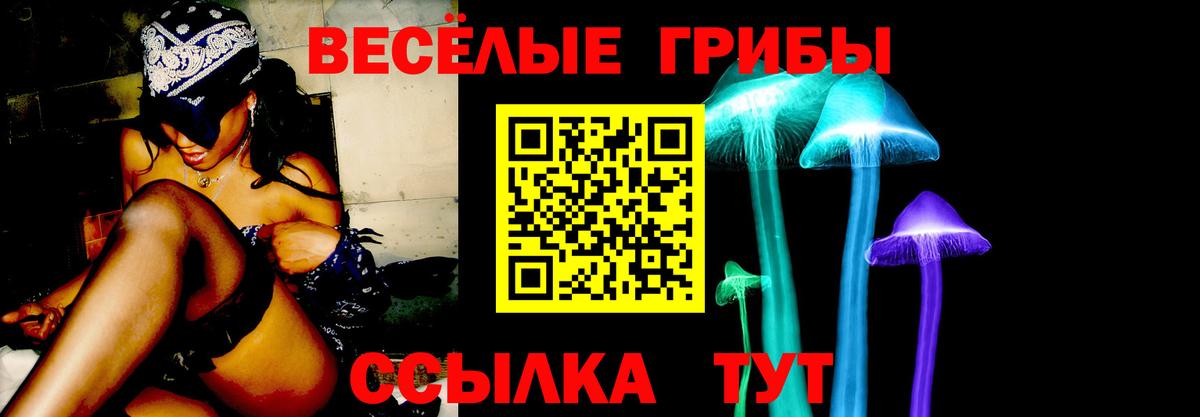 Галлюциногенные грибы мицелий  Вход с VPN  Владикавказ 